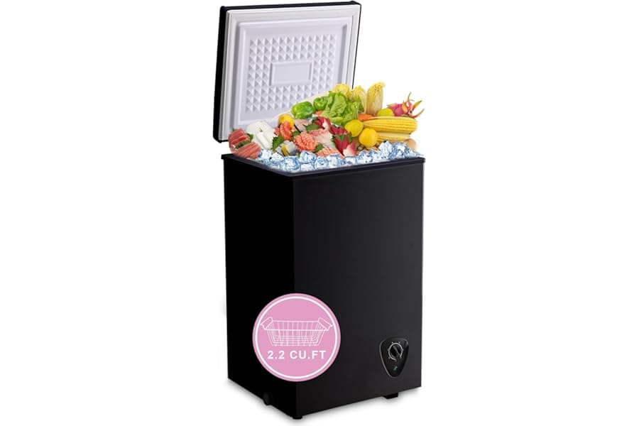 Best Compact 2.2 Cu.Ft Chest Freezer Storage 2026