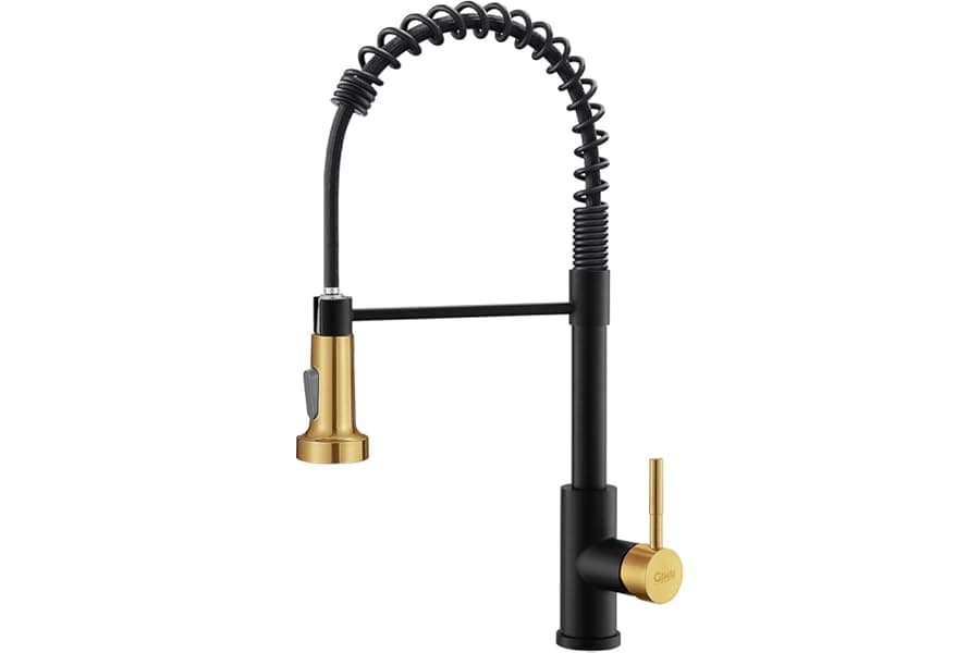Best Pull-Down Kitchen Faucet for Farmhouses & RVs