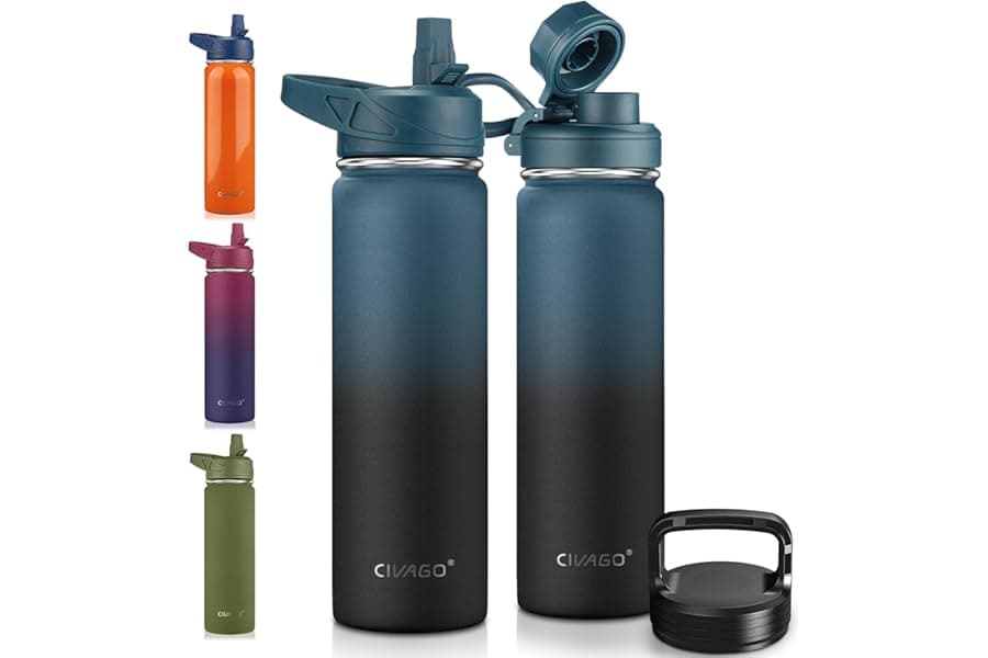 22 oz Insulated Water Bottle with Straw & Double Walls