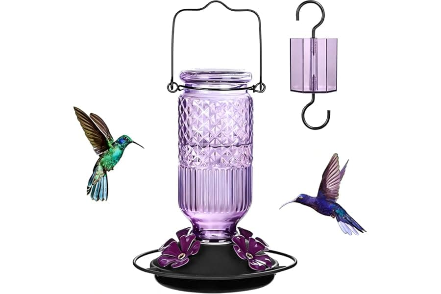 Best Glass Hummingbird Feeder For Outdoors Hanging - Top Picks for 2026