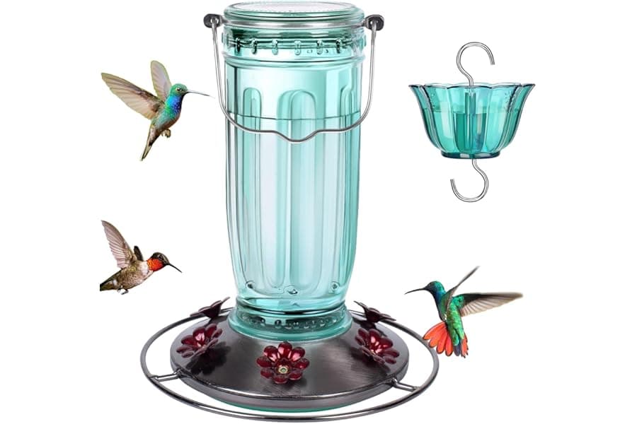 Best Glass Hummingbird Feeder 6 Ports 2026