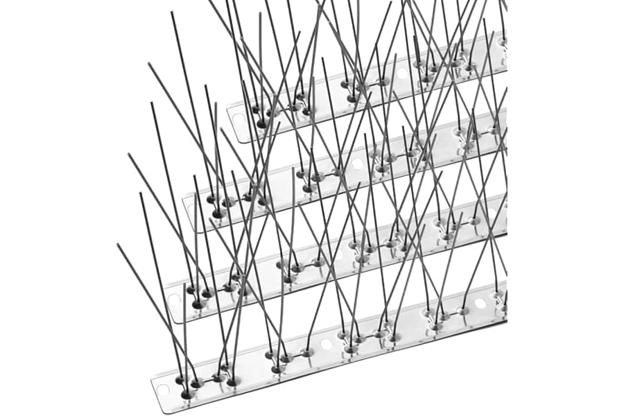 Best Stainless Steel Bird Spikes for Pigeons 2026