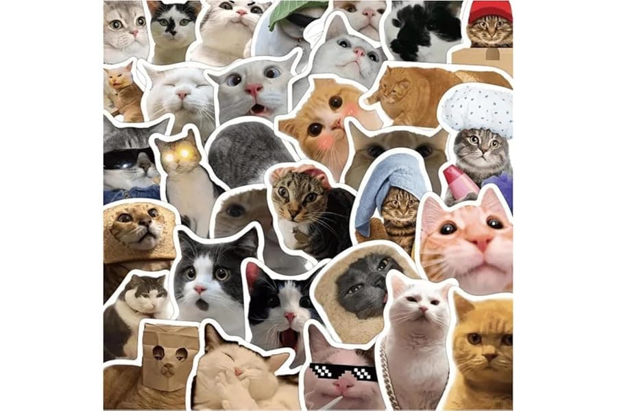 Best Cat Stickers for Laptop & Phone 2026