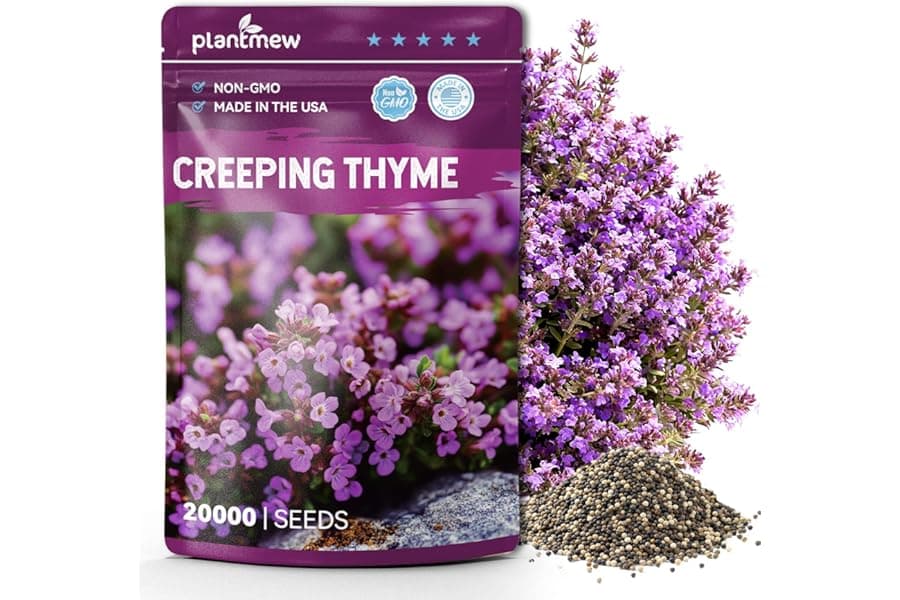 Creeping Thyme Seeds for Planting - Ground Cover