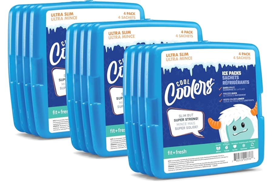 Best Slim Reusable Ice Packs for Lunch & Coolers 2026