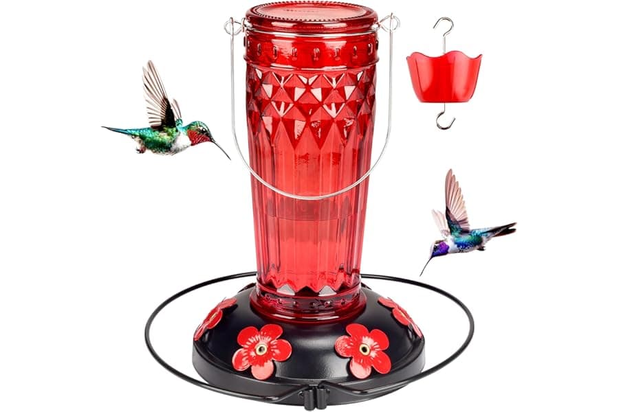 Best Glass Hummingbird Feeder for Outdoors (2026 Guide)