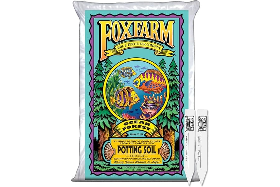 Best Aerated Potting Soil for Container Plants