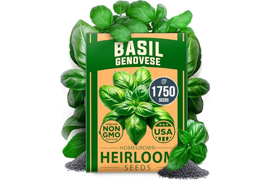 Best Non-GMO Genovese Basil Seeds for Growing at Home (2026)