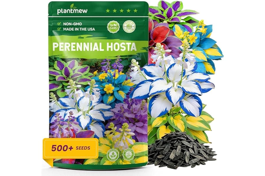 500+ Mixed Color Hosta Seeds for Shade Gardens