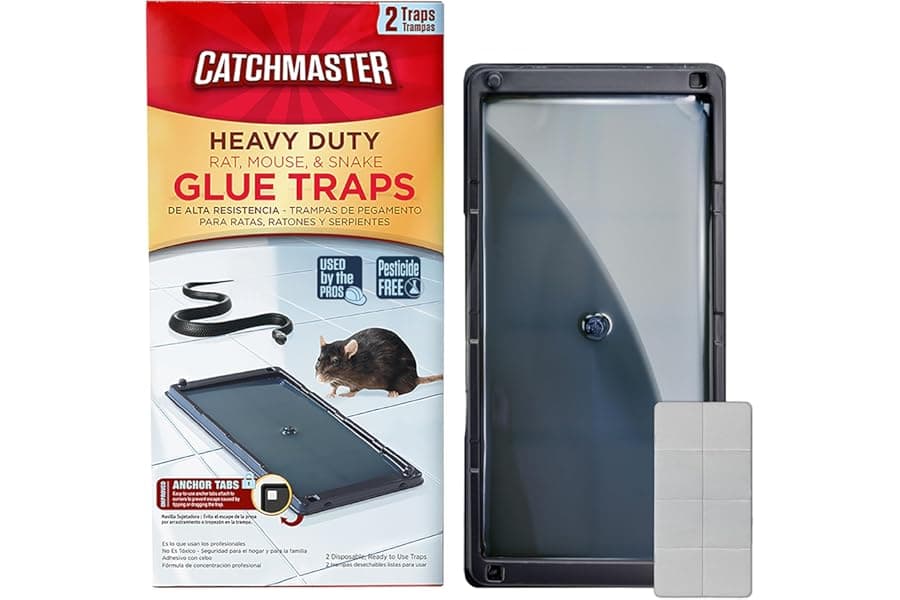 Best Glue Traps for Mice, Rats & Spiders