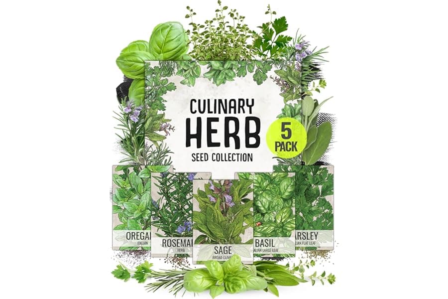 Best Beginner-Friendly Italian Herb Seed Kit 2026