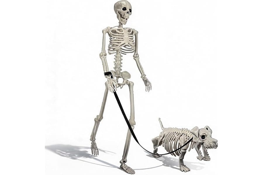 36-Inch Posable Skeleton Decorations for Halloween
