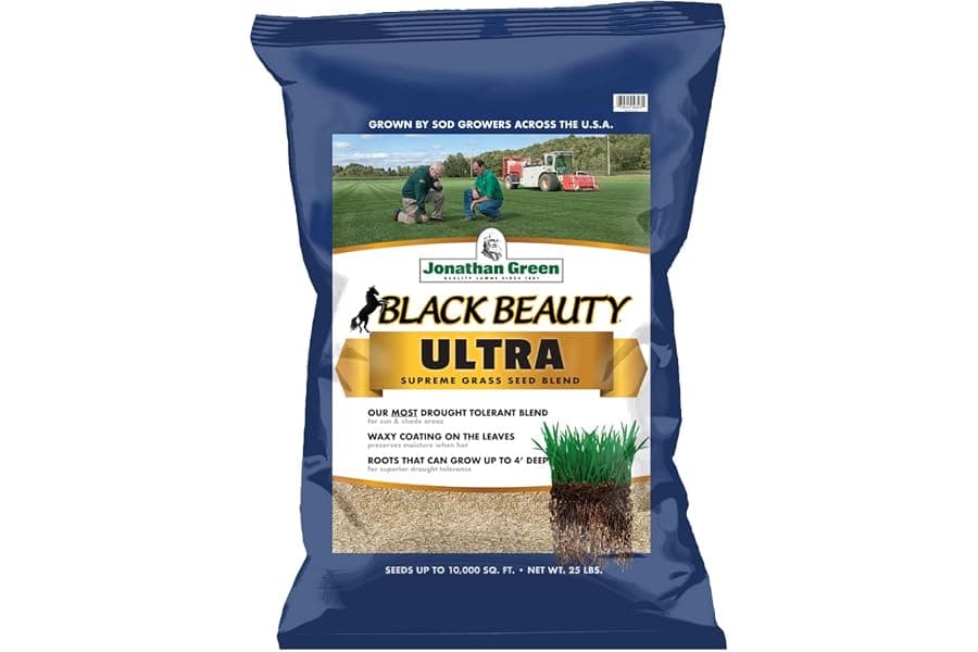 Premium Grass Seed for Dense, Dark Green Lawns