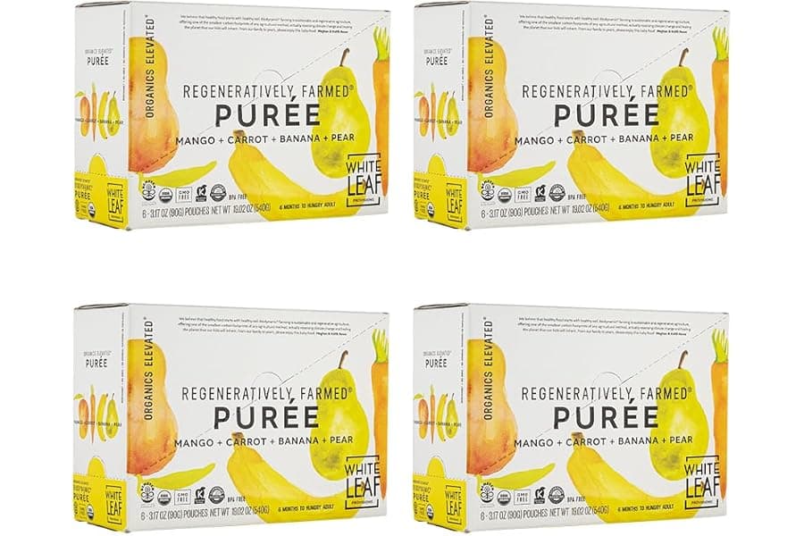 Organic Baby Food Pouches: Best Fruit & Veggie Snacks