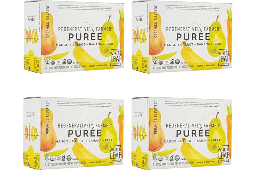 Organic Baby Food Pouches: Best Fruit & Veggie Snacks