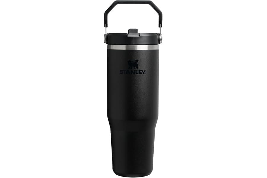 30oz Leak-Resistant Insulated Straw Tumbler