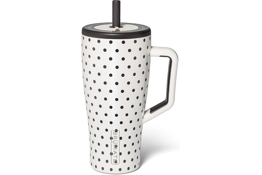 Leakproof 30oz Insulated Tumbler with Straw and Handle