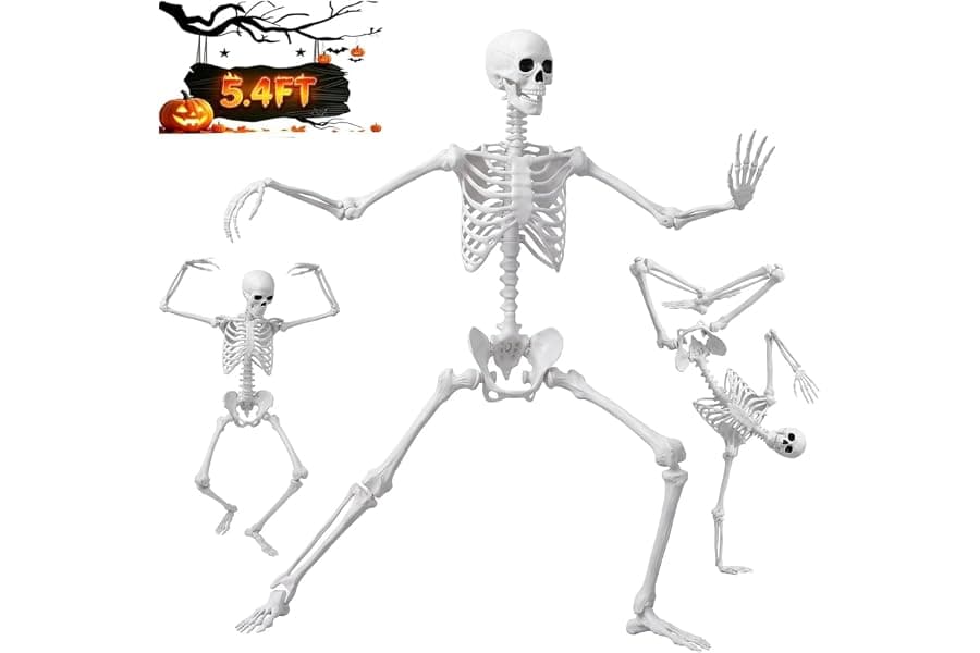 Life-Size Posable Skeleton for Halloween Decorations