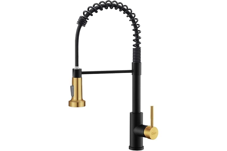 Best Pull-Down Kitchen Faucet for Farmhouses & RVs