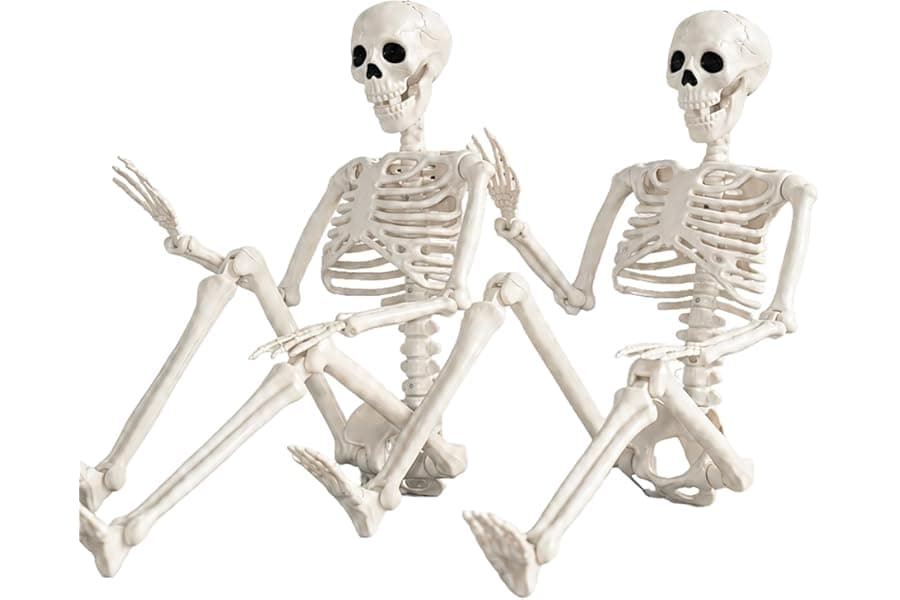 Skeleton Decorations with Movable Joints for Halloween