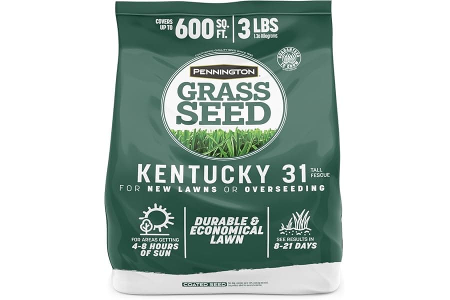 Best Tall Fescue Grass Seed for Thick Lawns 2026