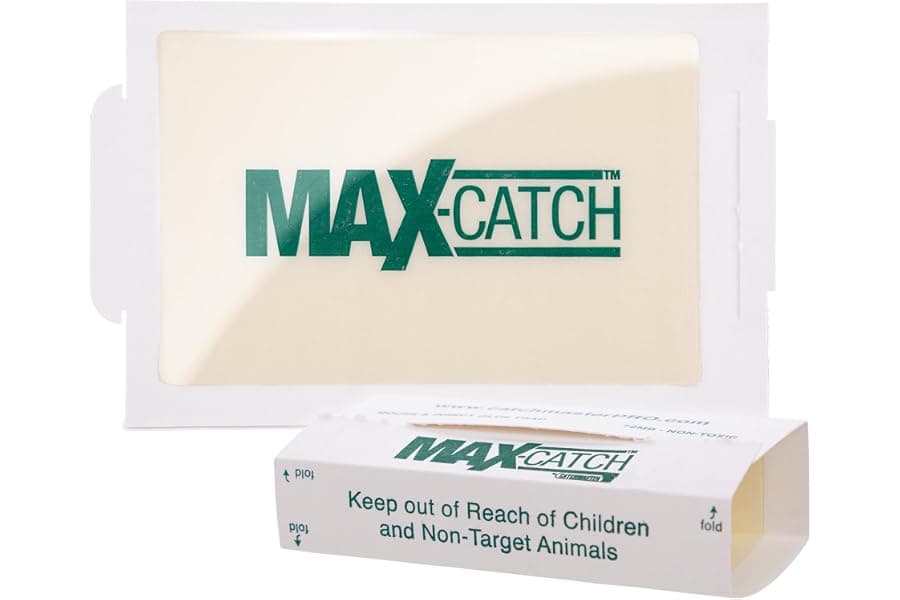Best Sticky Glue Traps for Mice & Insects Indoors 2026
