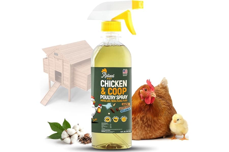 Best Chicken Coop Spray for Mites and Parasites