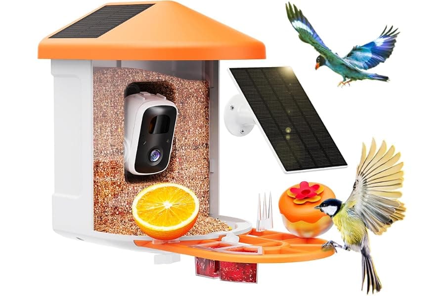 Smart Bird Feeder Camera with AI Species Identification