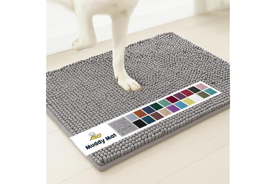 Best Absorbent Entryway Door Mat