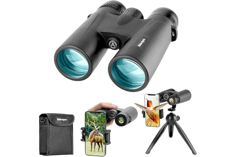 Best HD Binoculars for Bird Watching and Travel