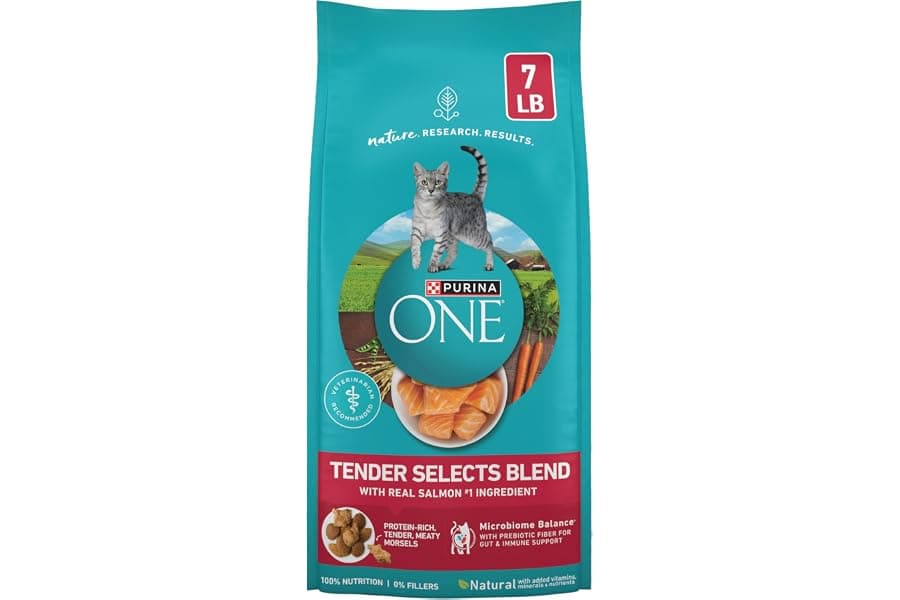 Premium Salmon Cat Food for Healthy Digestion and Coat