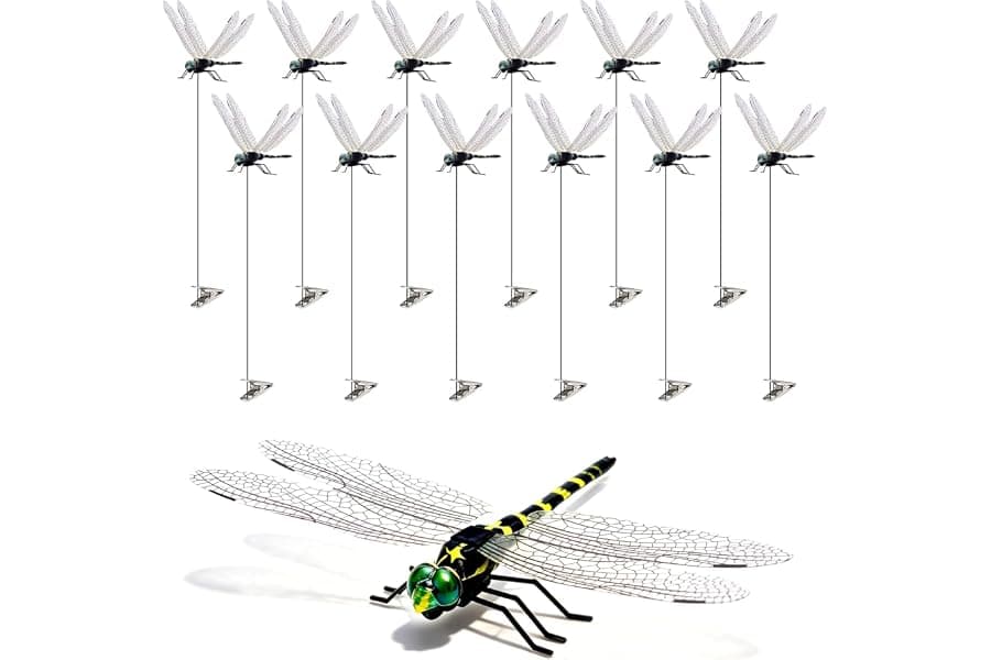 Best Decorative Dragonflies for Gardens & Fly Control