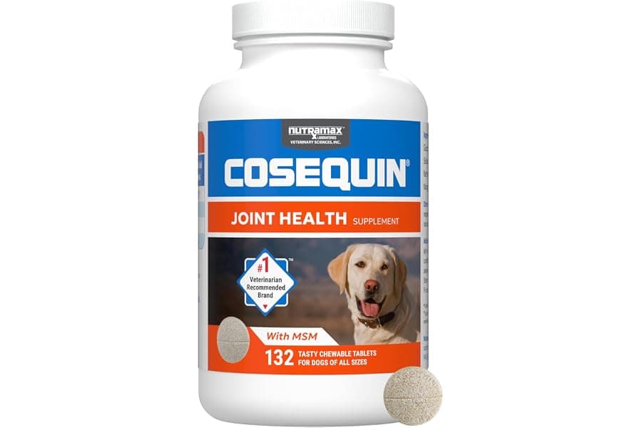 Best Joint Health Supplement for Dogs