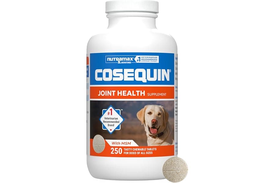 Best Joint Supplement for Dogs: Glucosamine & Chondroitin