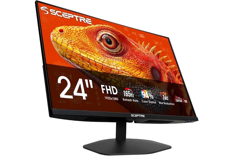 24-Inch 165Hz Gaming Monitor