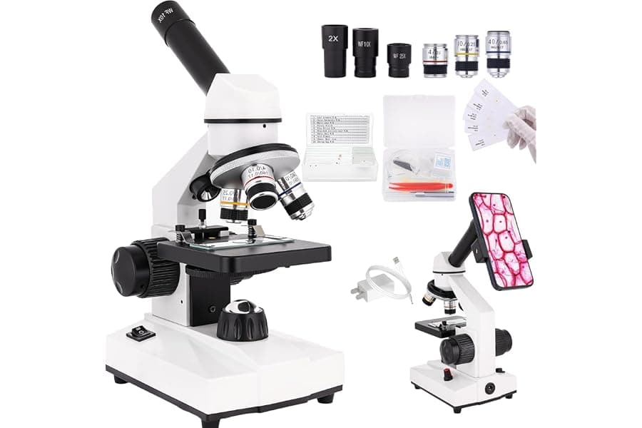 Best Compound Microscope for Beginners