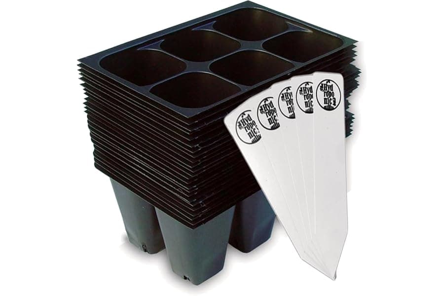 Best Seed Starter Trays 144 Cells Kit 2026