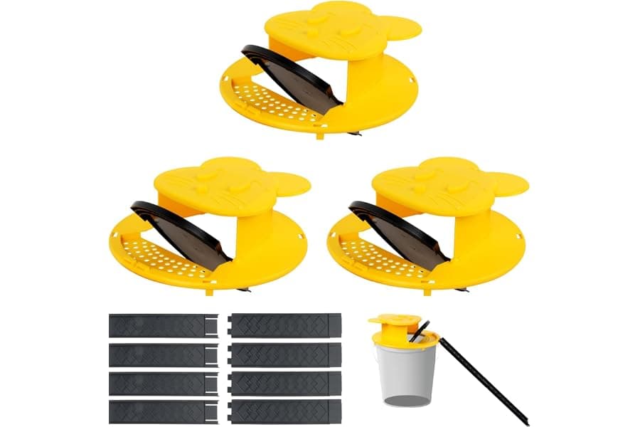 Best Bucket Mouse Traps for Indoor Home Pest Control