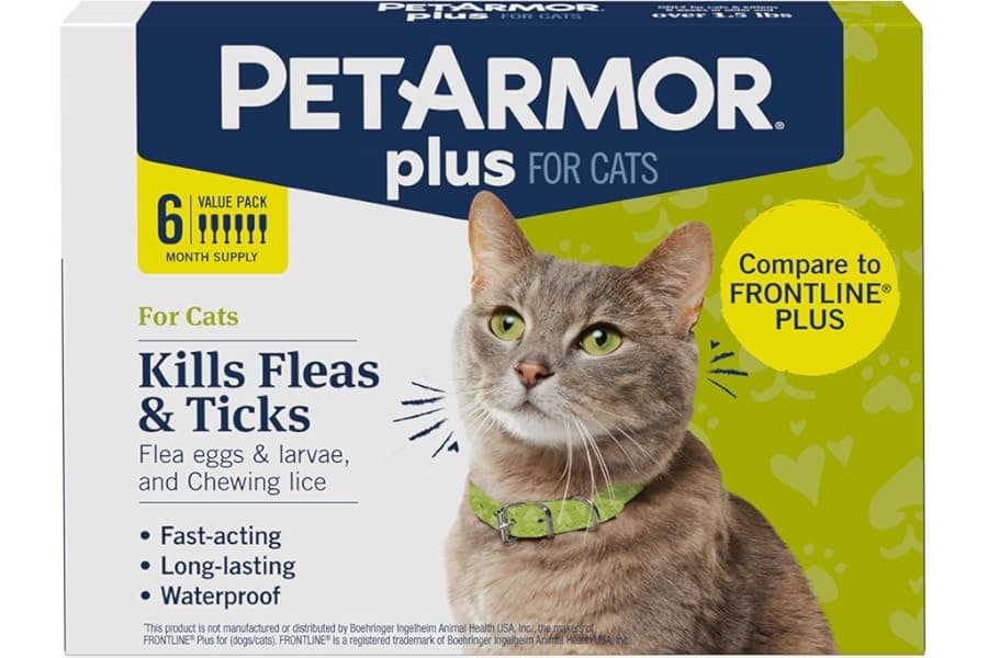 Best Flea and Tick Prevention for Cats