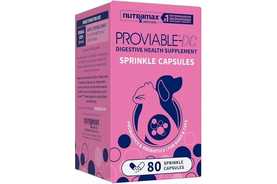 Best Probiotics for Dogs and Cats: Gut Health Support