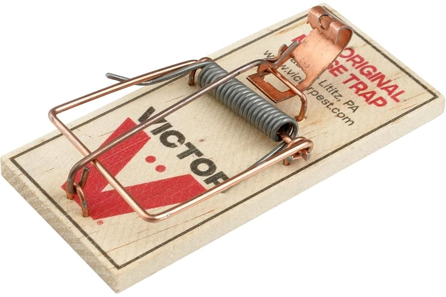 Best Reusable Wood Snap Mouse Traps For Your Home 2026