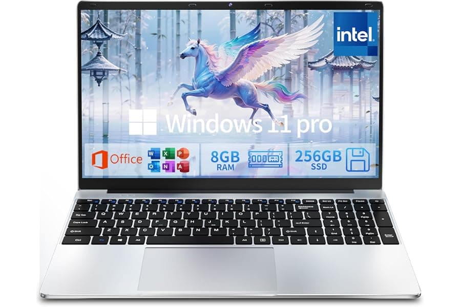 Budget 15.6-Inch Windows 11 Pro Laptop with Office 365