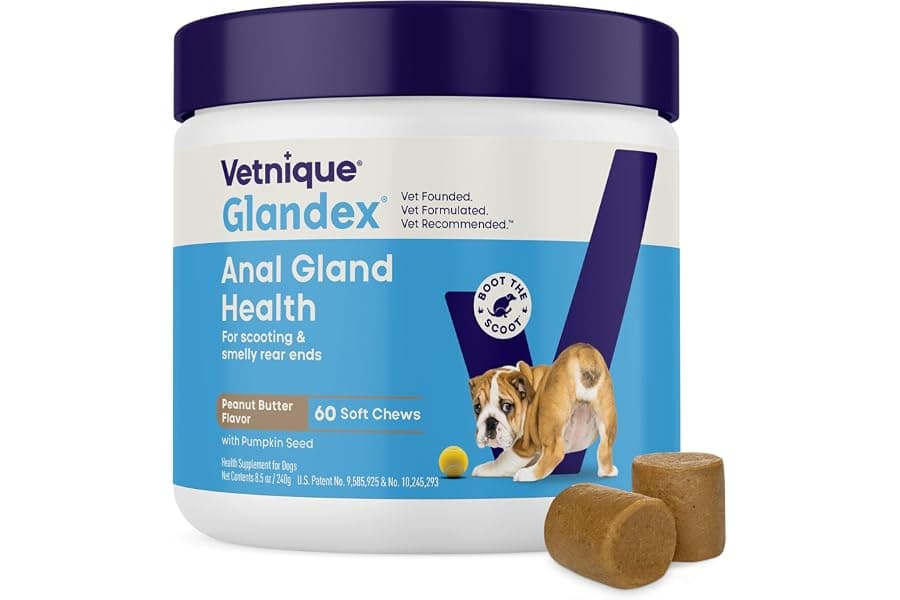 Best Anal Gland Support Treats for Dogs
