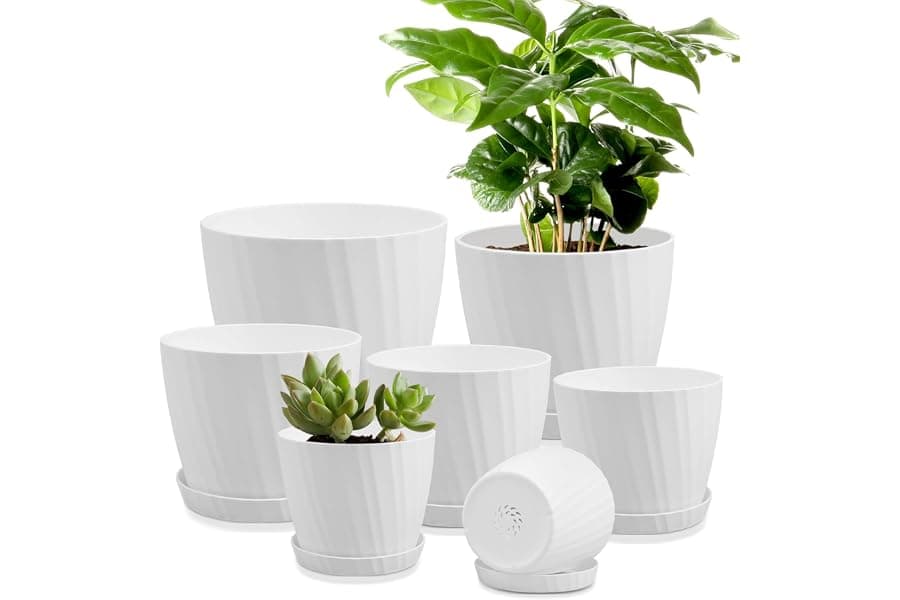 Best Plant Pots with Drainage Holes and Saucers (2026)