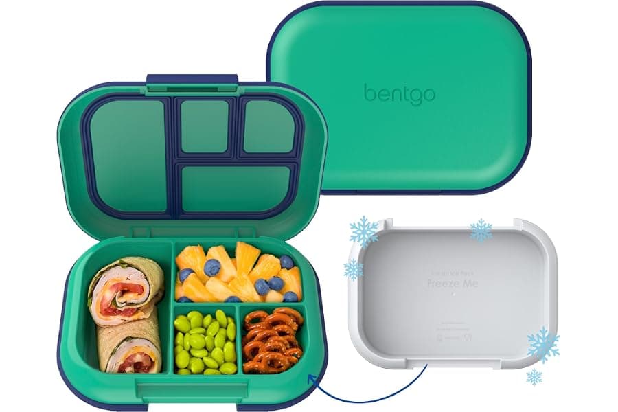 Best Leakproof Bento Lunch Box for Kids