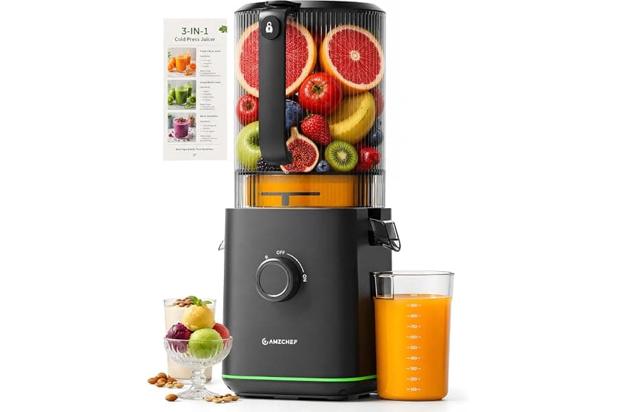 Best Cold Press Juicer for Whole Fruits & Nut Milk