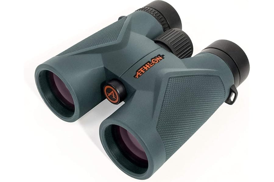 Best 8x42 Binoculars for Hunting and Birdwatching