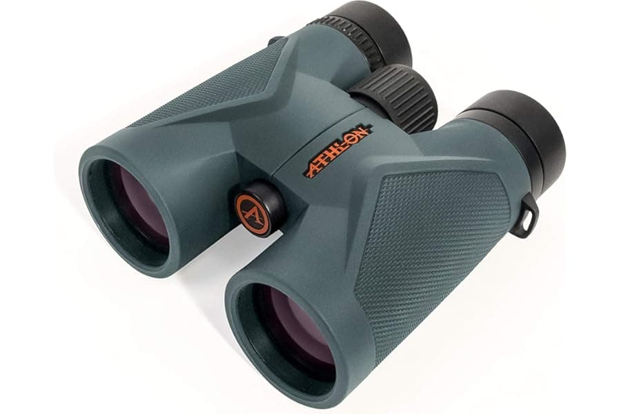 Best 8x42 Binoculars for Hunting and Birdwatching