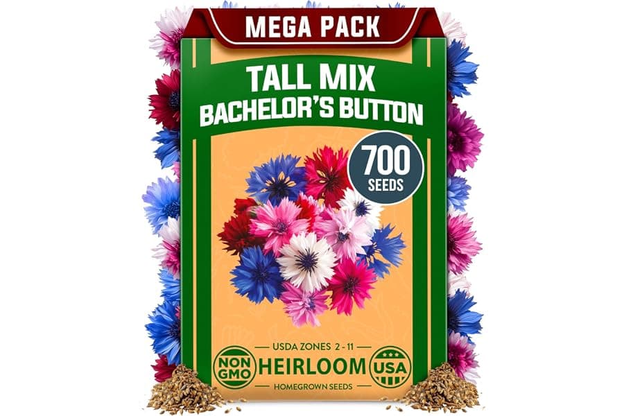 Best Easy Grow Bachelor Button Wildflower Seeds 2026