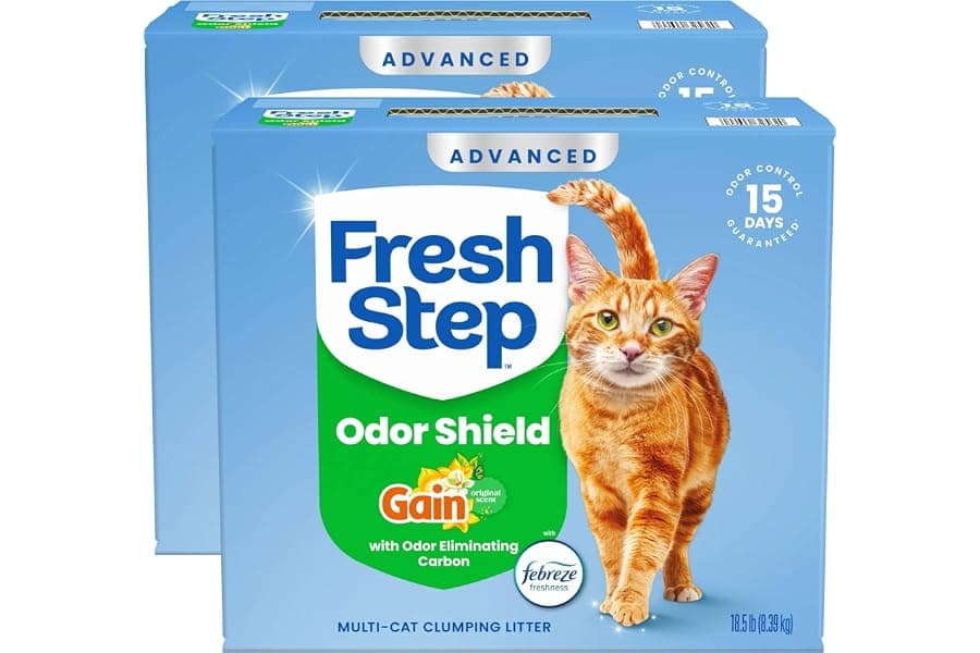 Best Clumping Litter for Multi-Cat Households
